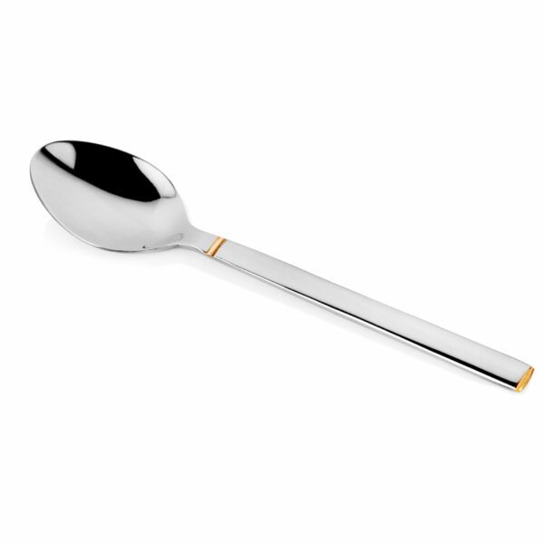 FNS Alaska Dinner Spoon Set of 6 pcs