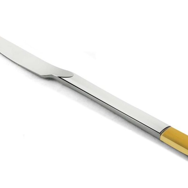 FNS Oscar Dinner Knife Set of 2 pcs